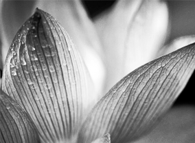 手机号压测网站