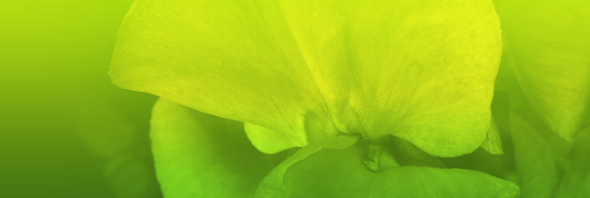 获取手机号验证码平台